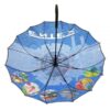 客製一片式傘面雨傘 圖片 2