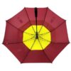 訂製巨型尺寸高爾夫雨傘賽車傘：圖片 3